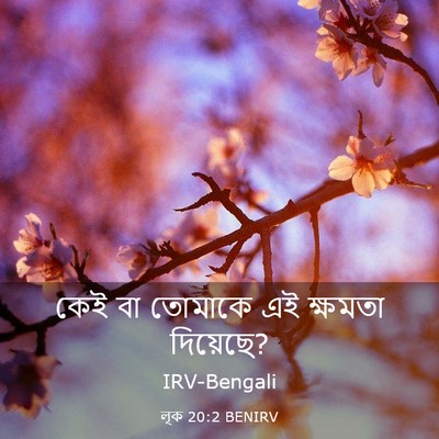 Picture 03 - লূক 20:2 BENIRV - কেই বা তোমাকে এই - Bible Verse Picture