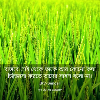 Picture 03 - লূক 20:40 BENIRV - বাস্তবে সেই থেকে - Bible Verse Picture