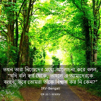Picture 03 - লূক 20:5 BENIRV - তখন তারা নিজেদের - Bible Verse Picture