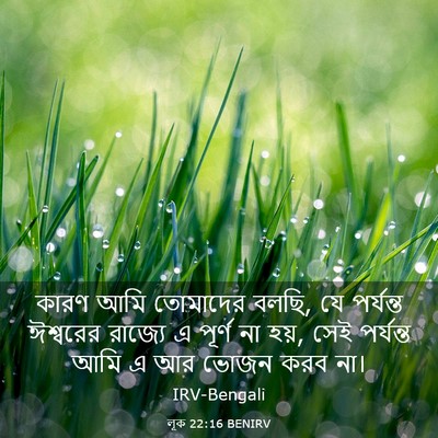 Picture 03 - লূক 22:16 BENIRV - কারণ আমি তোমাদের - Bible Verse Picture