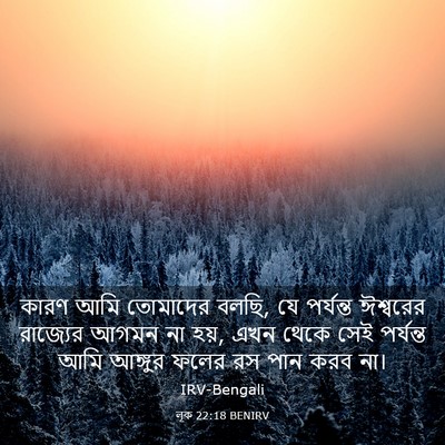 Picture 03 - লূক 22:18 BENIRV - কারণ আমি তোমাদের - Bible Verse Picture