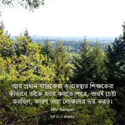 Picture 03 - লূক 22:2 BENIRV - আর প্রধান যাজকেরা - Bible Verse Picture