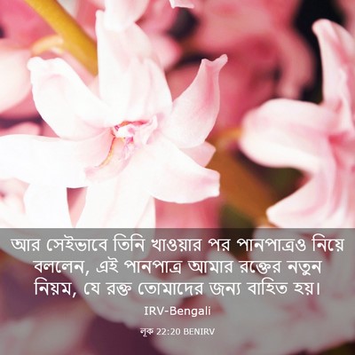 Picture 03 - লূক 22:20 BENIRV - আর সেইভাবে তিনি - Bible Verse Picture