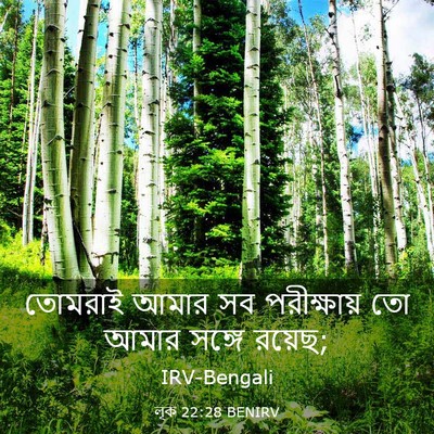 Picture 03 - লূক 22:28 BENIRV - তোমরাই আমার সব - Bible Verse Picture
