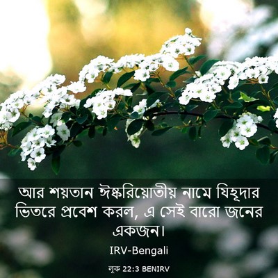 Picture 03 - লূক 22:3 BENIRV - আর শয়তান - Bible Verse Picture