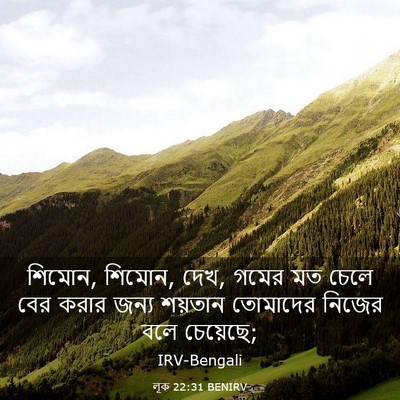 Picture 03 - লূক 22:31 BENIRV - শিমোন, শিমোন, দেখ, - Bible Verse Picture