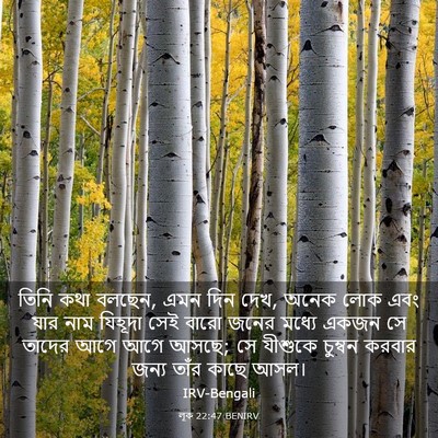 Picture 03 - লূক 22:47 BENIRV - তিনি কথা বলছেন, এমন - Bible Verse Picture