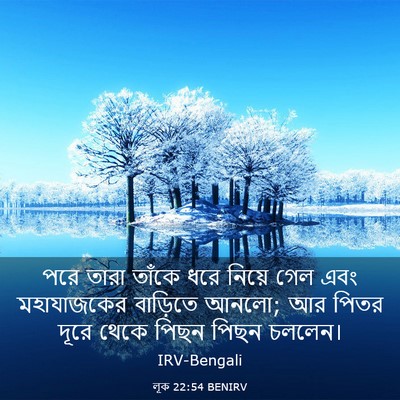 Picture 03 - লূক 22:54 BENIRV - পরে তারা তাঁকে ধরে - Bible Verse Picture