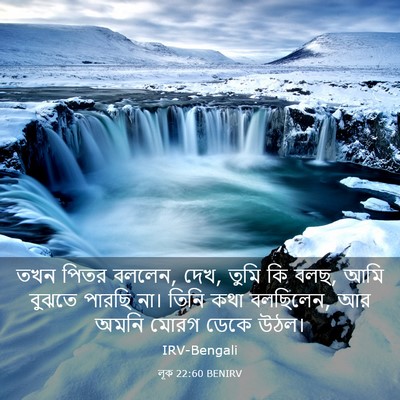 Picture 03 - লূক 22:60 BENIRV - তখন পিতর বললেন, - Bible Verse Picture
