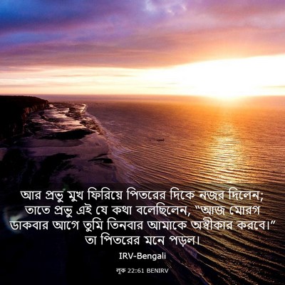 Picture 03 - লূক 22:61 BENIRV - আর প্রভু মুখ - Bible Verse Picture