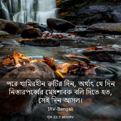 Picture 03 - লূক 22:7 BENIRV - পরে খামিরহীন - Bible Verse Picture
