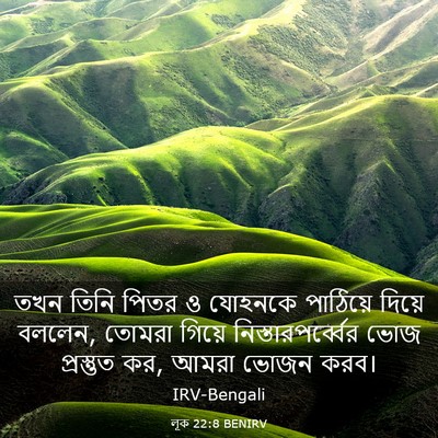 Picture 03 - লূক 22:8 BENIRV - তখন তিনি পিতর ও - Bible Verse Picture