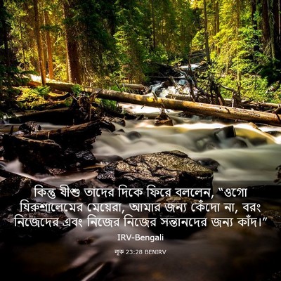 Picture 03 - লূক 23:28 BENIRV - কিন্তু যীশু তাদের - Bible Verse Picture