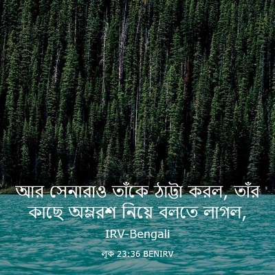 Picture 03 - লূক 23:36 BENIRV - আর সেনারাও তাঁকে - Bible Verse Picture