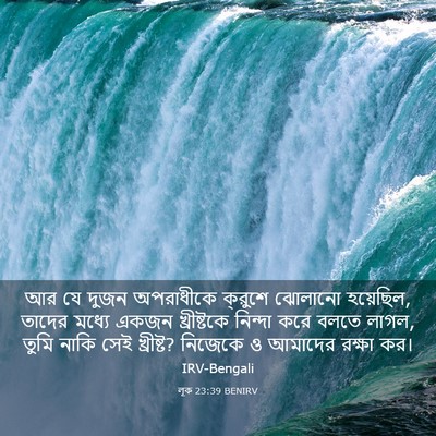 Picture 03 - লূক 23:39 BENIRV - আর যে দুজন - Bible Verse Picture