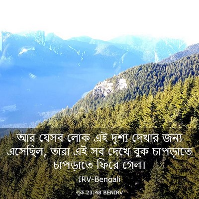 Picture 03 - লূক 23:48 BENIRV - আর যেসব লোক এই - Bible Verse Picture