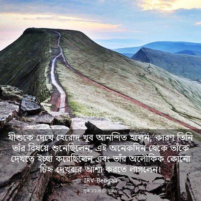 Picture 03 - লূক 23:8 BENIRV - যীশুকে দেখে হেরোদ - Bible Verse Picture