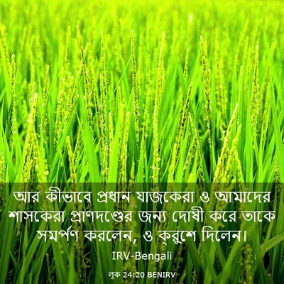 Picture 03 - লূক 24:20 BENIRV - আর কীভাবে প্রধান - Bible Verse Picture