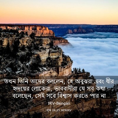 Picture 03 - লূক 24:25 BENIRV - তখন তিনি তাদের - Bible Verse Picture
