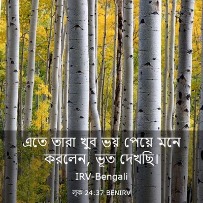 Picture 03 - লূক 24:37 BENIRV - এতে তারা খুব ভয় - Bible Verse Picture