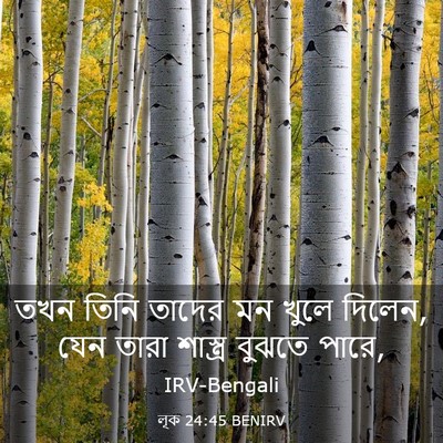 Picture 03 - লূক 24:45 BENIRV - তখন তিনি তাদের মন - Bible Verse Picture