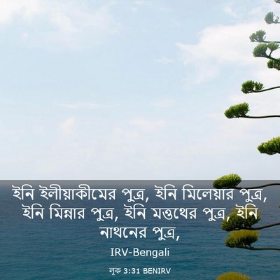 Picture 03 - লূক 3:31 BENIRV - ইনি ইলীয়াকীমের - Bible Verse Picture