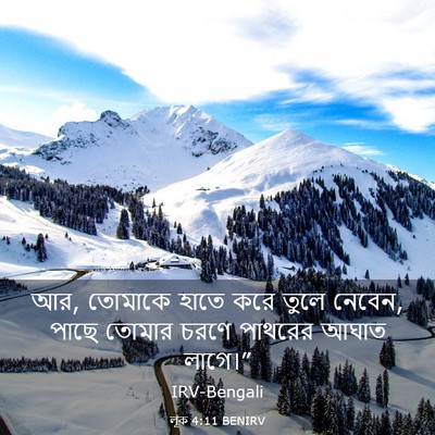 Picture 03 - লূক 4:11 BENIRV - আর, তোমাকে হাতে করে - Bible Verse Picture