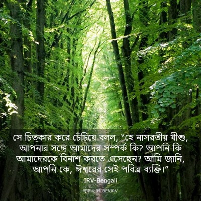 Picture 03 - লূক 4:34 BENIRV - সে চিত্কার করে - Bible Verse Picture