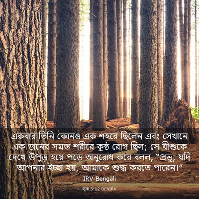Picture 03 - লূক 5:12 BENIRV - একবার তিনি কোনও এক - Bible Verse Picture