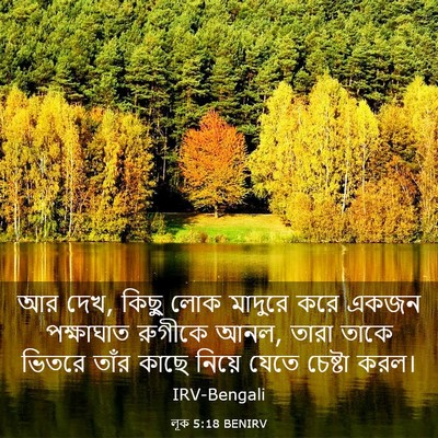 Picture 03 - লূক 5:18 BENIRV - আর দেখ, কিছু লোক - Bible Verse Picture