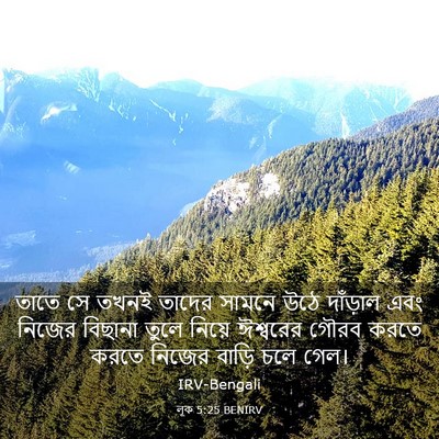 Picture 03 - লূক 5:25 BENIRV - তাতে সে তখনই তাদের - Bible Verse Picture