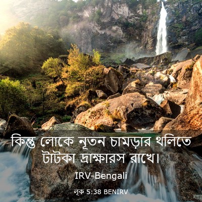 Picture 03 - লূক 5:38 BENIRV - কিন্তু লোকে নূতন - Bible Verse Picture