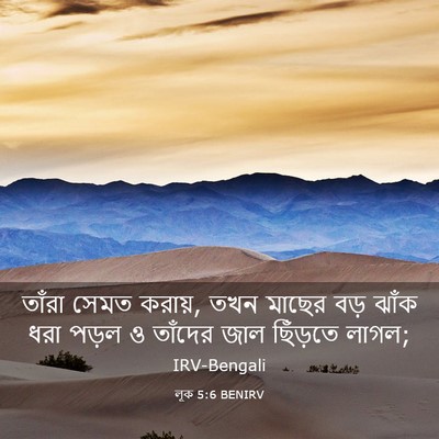Picture 03 - লূক 5:6 BENIRV - তাঁরা সেমত করায়, - Bible Verse Picture