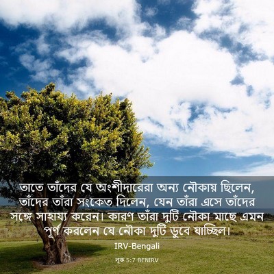 Picture 03 - লূক 5:7 BENIRV - তাতে তাঁদের যে - Bible Verse Picture