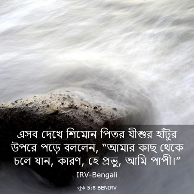 Picture 03 - লূক 5:8 BENIRV - এসব দেখে শিমোন - Bible Verse Picture