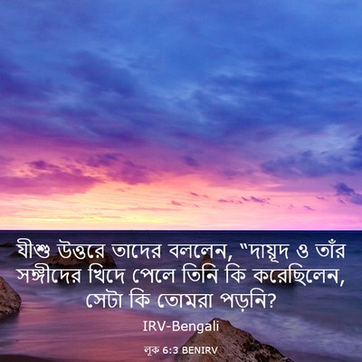 Picture 03 - লূক 6:3 BENIRV - যীশু উত্তরে তাদের - Bible Verse Picture