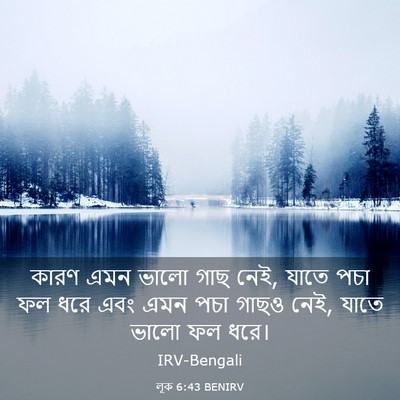 Picture 03 - লূক 6:43 BENIRV - কারণ এমন ভালো গাছ - Bible Verse Picture