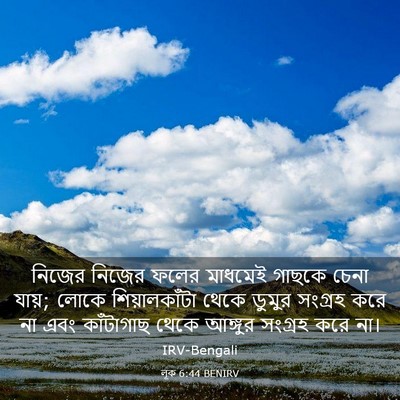 Picture 03 - লূক 6:44 BENIRV - নিজের নিজের ফলের - Bible Verse Picture