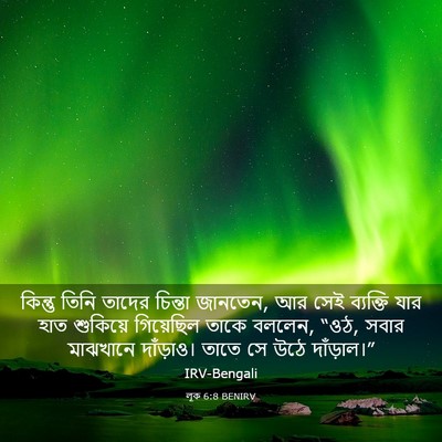 Picture 03 - লূক 6:8 BENIRV - কিন্তু তিনি তাদের - Bible Verse Picture