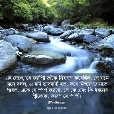 Picture 03 - লূক 7:39 BENIRV - এই দেখে, যে ফরীশী - Bible Verse Picture