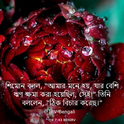 Picture 03 - লূক 7:43 BENIRV - শিমোন বলল, “আমার - Bible Verse Picture