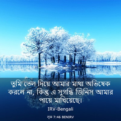 Picture 03 - লূক 7:46 BENIRV - তুমি তেল দিয়ে - Bible Verse Picture