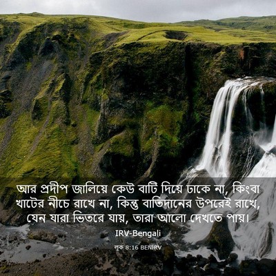 Picture 03 - লূক 8:16 BENIRV - আর প্রদীপ জালিয়ে - Bible Verse Picture