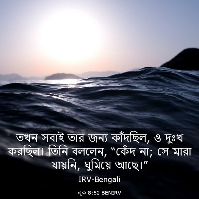 Picture 03 - লূক 8:52 BENIRV - তখন সবাই তার জন্য - Bible Verse Picture