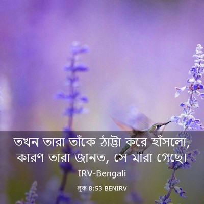 Picture 03 - লূক 8:53 BENIRV - তখন তারা তাঁকে - Bible Verse Picture