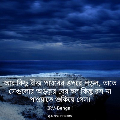 Picture 03 - লূক 8:6 BENIRV - আর কিছু বীজ পাথরের - Bible Verse Picture