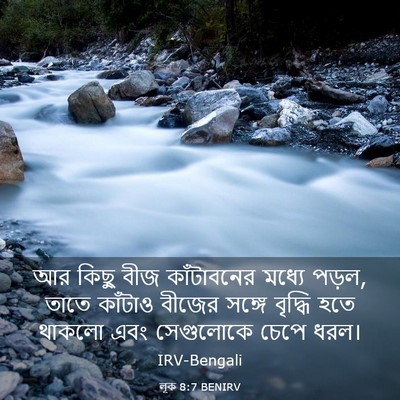 Picture 03 - লূক 8:7 BENIRV - আর কিছু বীজ - Bible Verse Picture