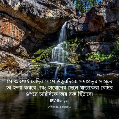 Picture 03 - লেবীয়া 1:11 BENIRV - সে অবশ্যই বেদির - Bible Verse Picture