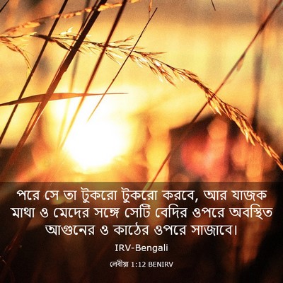 Picture 03 - লেবীয়া 1:12 BENIRV - পরে সে তা টুকরো - Bible Verse Picture
