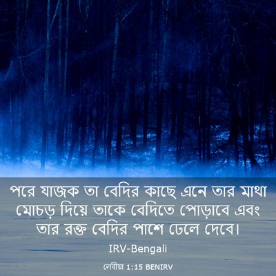 Picture 03 - লেবীয়া 1:15 BENIRV - পরে যাজক তা বেদির - Bible Verse Picture